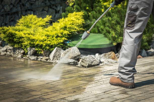 Best Pre-Holiday Cleaning  in Douglas, AL