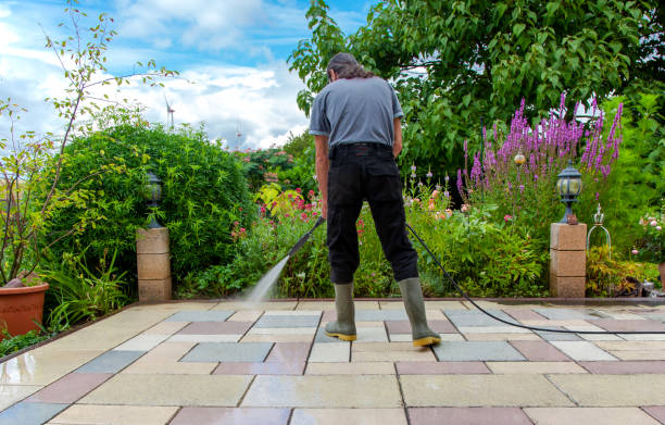 Best Animal Enclosure Cleaning  in Douglas, AL