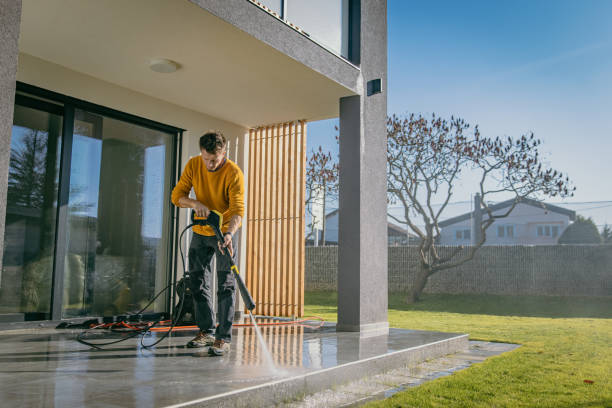 Best Roof Washing  in Douglas, AL